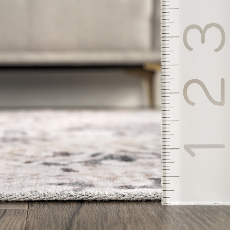Danae Abstract Machine Washable Area Rug for Living Room Bedroom Dining Room Kitchen, Rectangle 6' x 9'