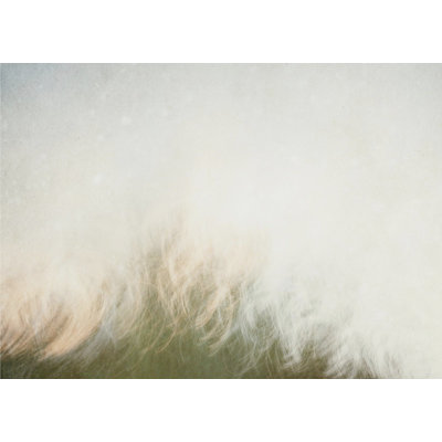 Paysage en mouvement