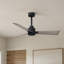 Alessandra Outdoor Downrod Ceiling Fan-1676708269-1676708444