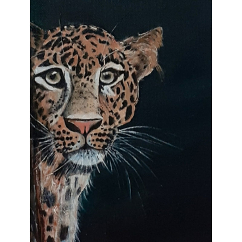 Un léopard voyeur | Acrylique sur toile | Par Jyoti Rathore