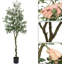 210cm Plant