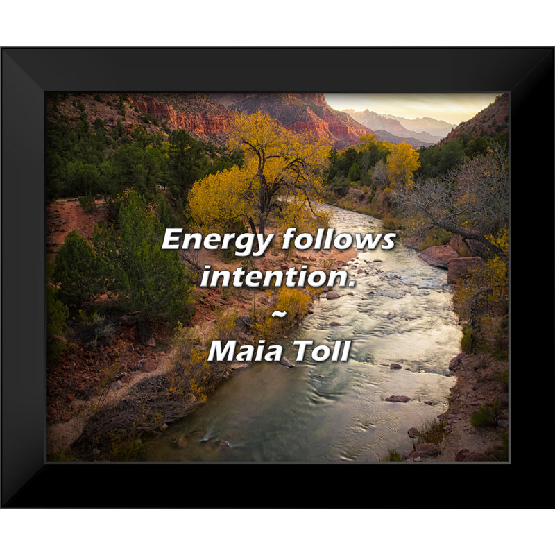 Maia Toll Citation: L'énergie suit l'intention.