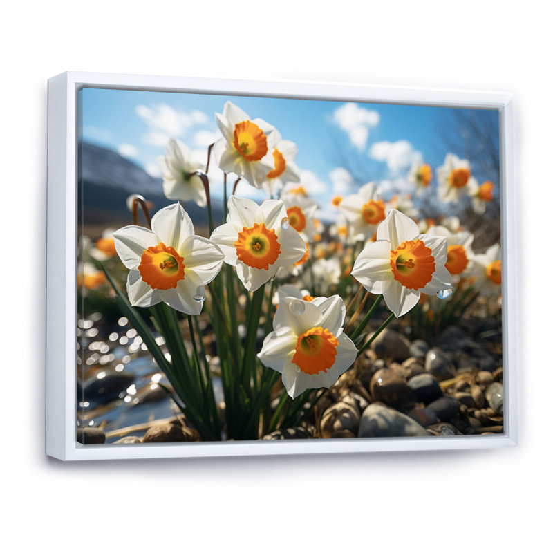 " Daffodils Field Sunset III ", White Floater Framed, 24" H x 32" W
