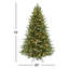 Sapin illuminé de 6,5 pi