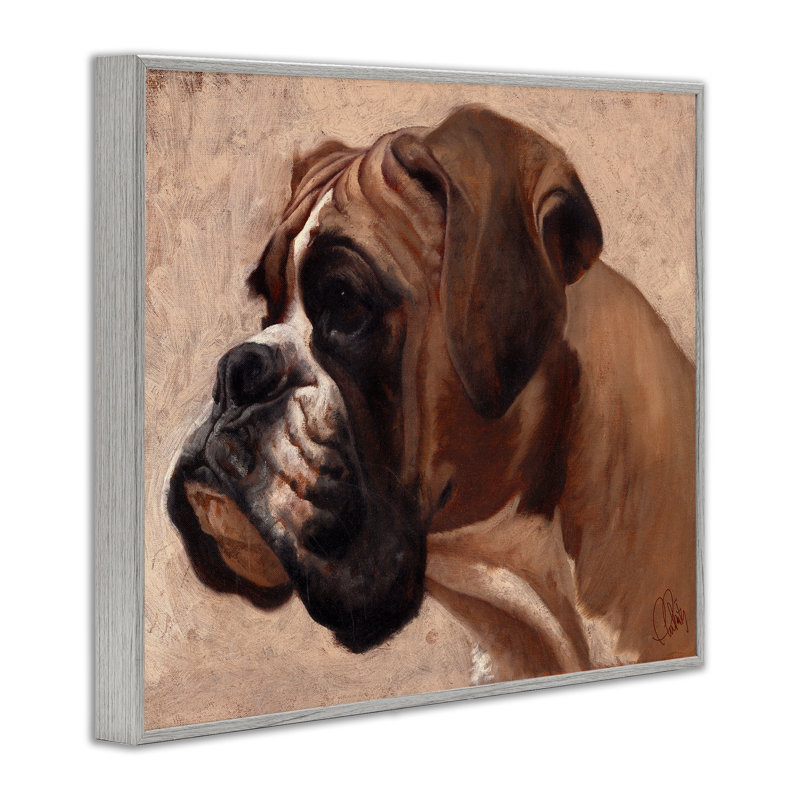 «Boxer Dog Neutral Portrait», estampe numérique par Thomas Fluharty, Estampe numérique Farmhouse, H 11 po x l 14 po