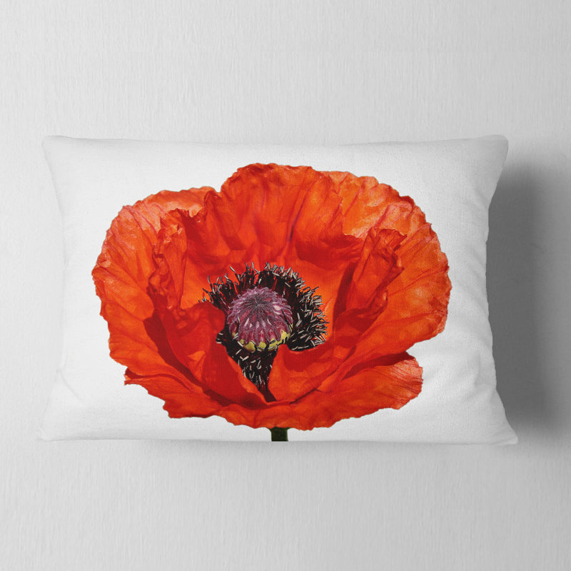 Gros plan d'une fleur de coquelicot rouge - Coussin décoratif imprimé floral