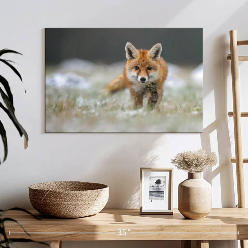 Brampt Baby Red Fox, 8" H x 12" W