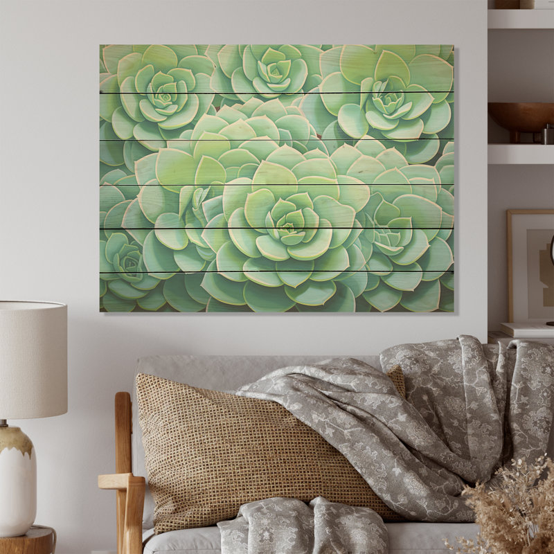 Vert plantes grasses - Art sur bois de pin naturel, H 24 po x l 32 po