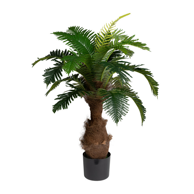 100cm Plant
