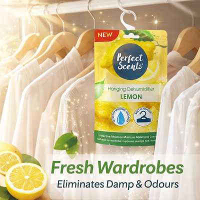 Hanging Moisture Absorber Dehumidifier Fresh Linen Lemon Wardrobe Damp Mould Condensation Remover Closet Storage (Pack Of 24)