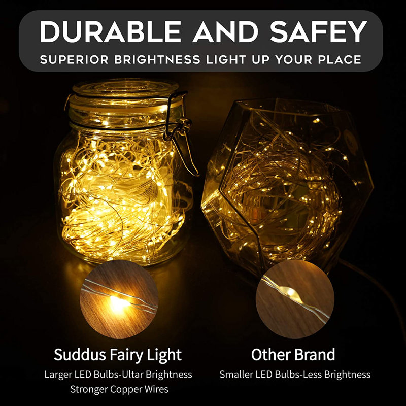Leanora 1 - Bulb 33'' Battery Powered LED Fairy String Light