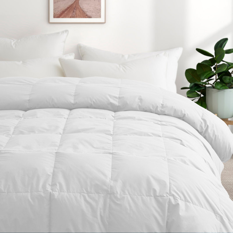 All Season Cotton Down Comforter/Duvet Insert, Queen Comforter, White