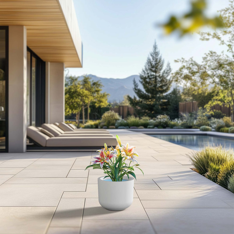 Petit pot à fleurs / pot rond en béton avec trous de drainage, H 7,48 po x l 9,06 po x P 9,06 po