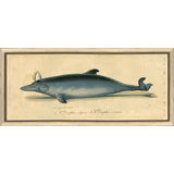 Vintage Dolphin I Painting