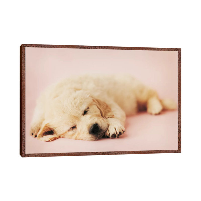 Samuel 1 Piece Wall Art on Canvas, 152.5 cm H x 101.5 cm W, Classic Brown Wood Framed