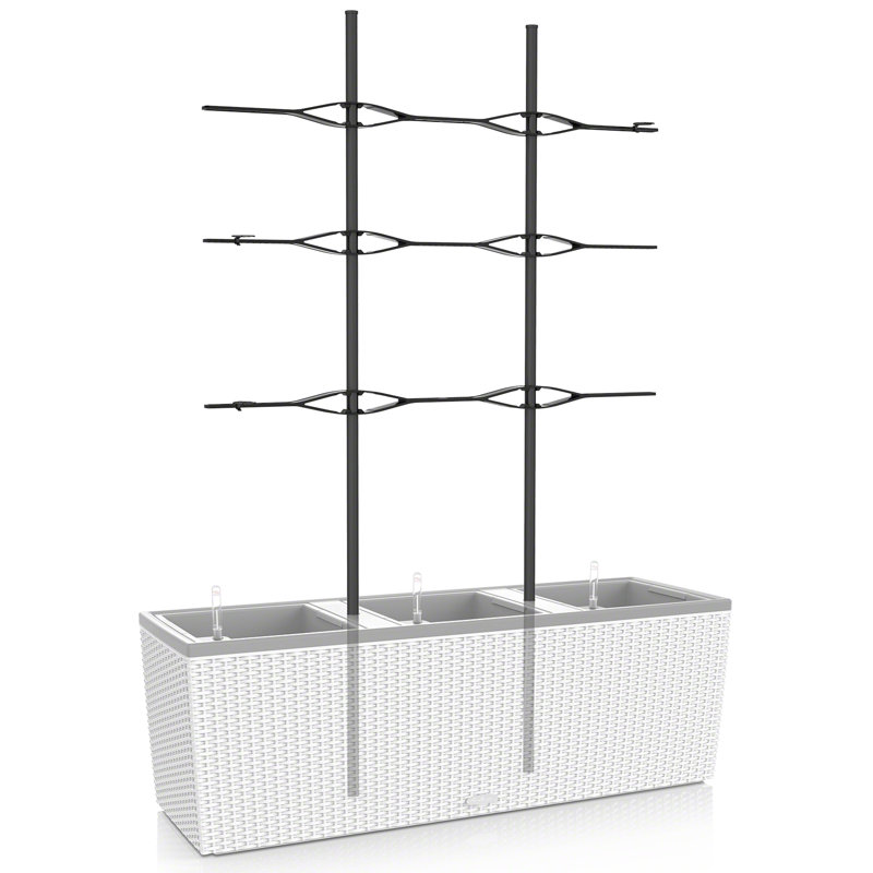 Lattice Panel Trellis, 135 cm H x 86 cm W