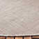 Arneshia Beige/Brown Indoor/Outdoor Area Rug