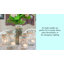 Ensemble de bougies chauffe-plat Long Burning-387016066