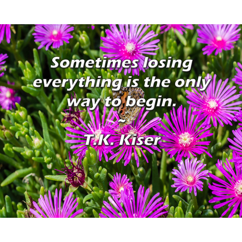 Fleur De Lis Living Gallery Wrapped Canvas By T.K. Kiser: "Sometimes losing everything is the only way to b