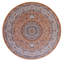 Floral Area Rug in Brown