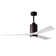 Patricia Ceiling Fan with LED Lights