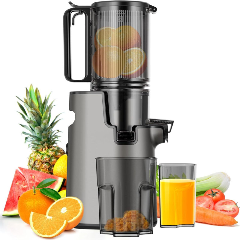 Cold Press Juicer,Slow Masticating Juicer Machines, Black