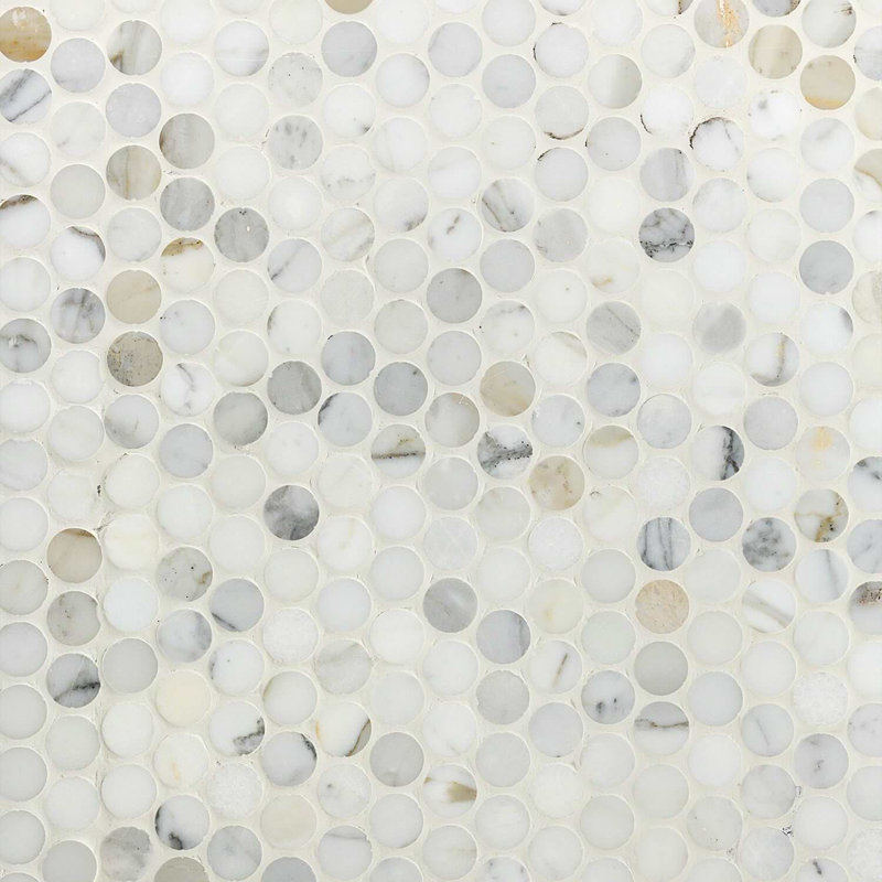 Calacatta Penny Rounds Polished Marble Tile