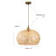 Luminaire suspendu 20 pouces 1 lumière Airy