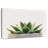 Harnek Stone Pot Succulent-106307267