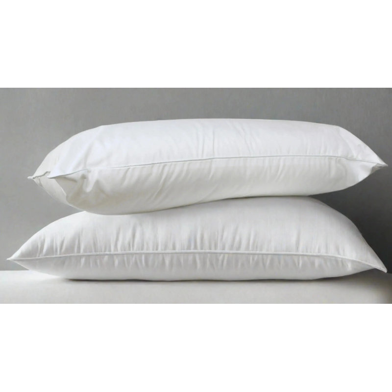 Ensemble de 2 coussins Bcl Collection T-180 par Rifz, Standard 26 po x 20 po