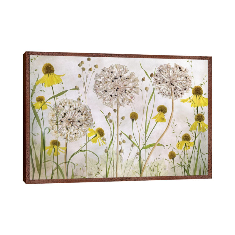 Alliums And Heleniums by Mandy Disher - Print on Canvas, Classic Brown Wood Framed, 66.04cm H x 101.6cm W x 3.81cm D