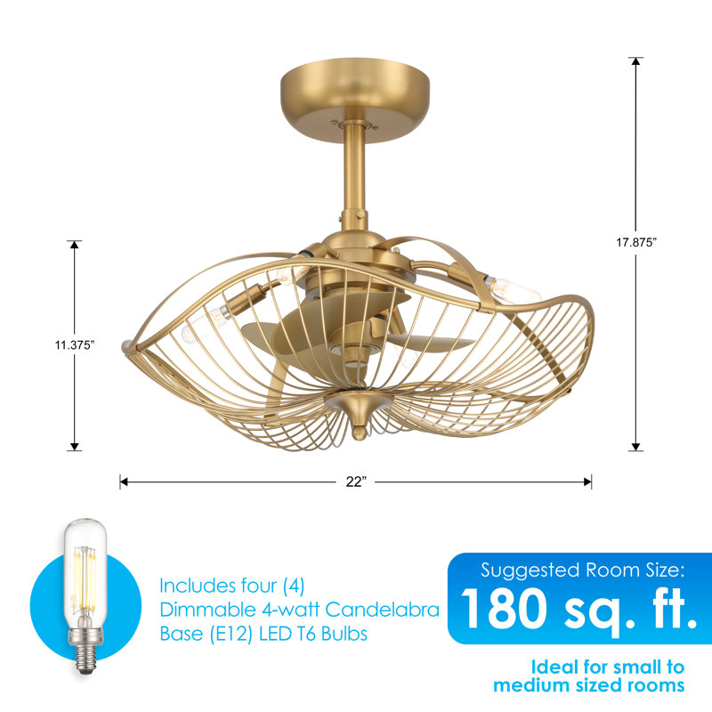 22" Akoni 3 - Blade Ceiling Fan with Light Kit Included, Gold