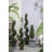 35'' Boxwood Topiary in Faux Concrete Planter