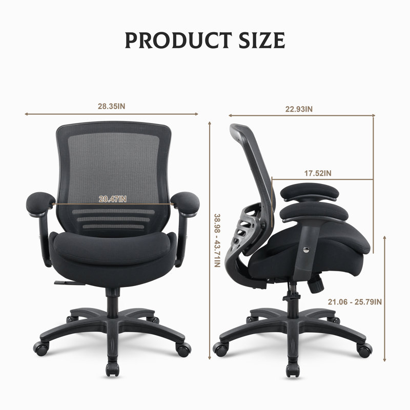 Alphus Ergonomic Mesh Office Chair with Extra Cushion
