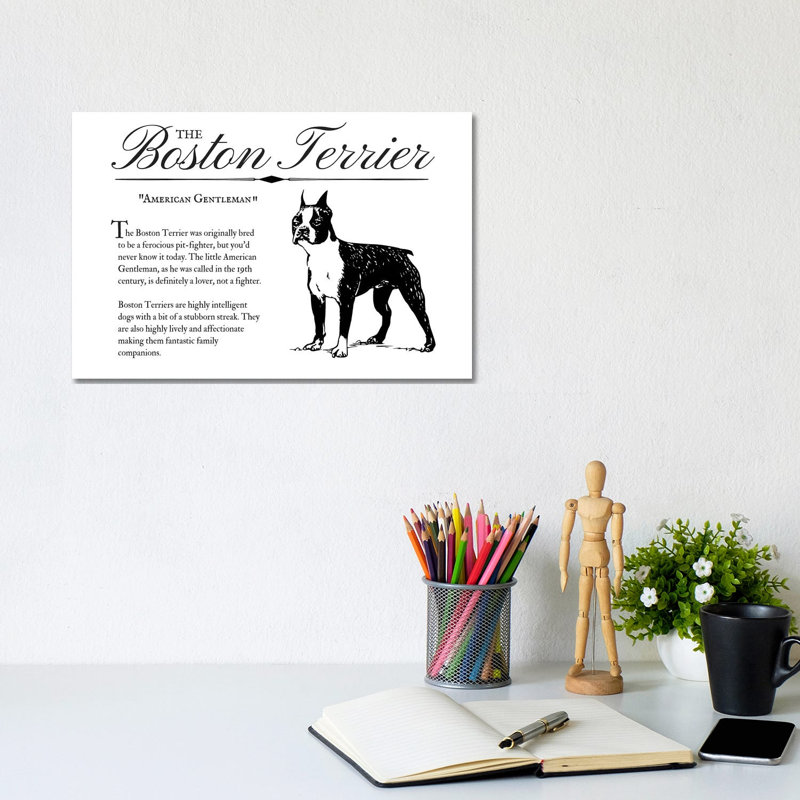 Vintage Boston Terrier by Traci Anderson - Wrapped Canvas Print, 20.32 cm H x 30.48 cm W