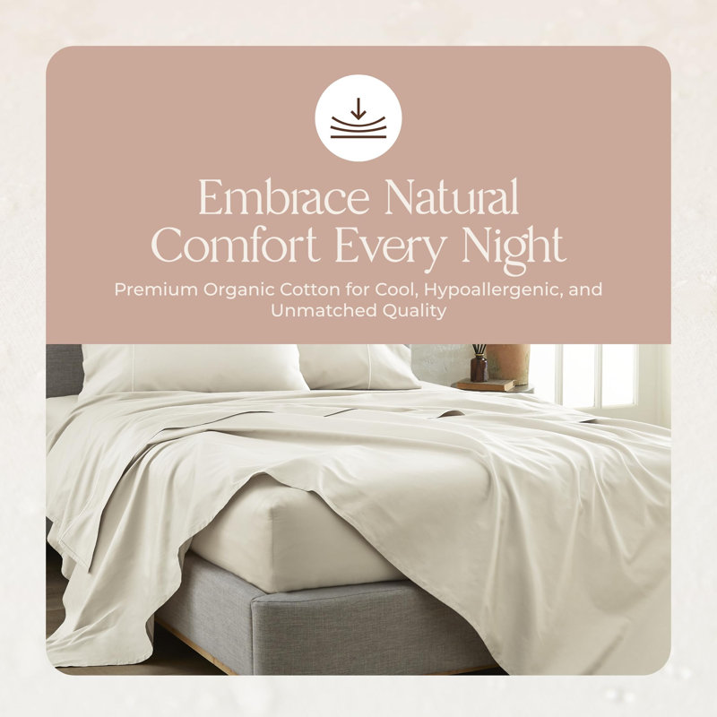 Whisper Organic Certified Organic Sheet Only - 100% Organic Cotton Sheets With Luxurious Soft And Breathable 300 Thread Count Sateen Weave Finish - Gots & Fairtrade Certified (Natural, Twin Xl)