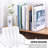 Vertical Magazine File Holder, Clear File Organizer Desk Organizer And Storage Bins Holding For Magazines, Binders, Notebooks, Envelopes, Plastic Office Organization And Storage For Desk, 4 Pack