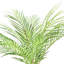 Floor Palm Plant in Rope Embellished Glass Pot