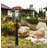 Harbor View - 4 Light Outdoor Post Mount