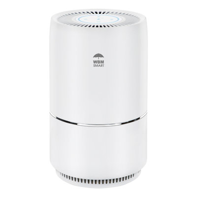 WBM Smart Air Purifier with True HEPA Filter for 1440 Cubic Feet, 3-Stage Filtration