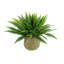 Richas Faux Fern Plant in Wicker/Rattan Basket
