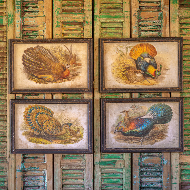 Peacock Pheasant Vintage Nature Wall Art Set – Framed Prints, Set of 4