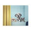 «Cute Two Dogs and Cat», art mural sur toile-1560528152