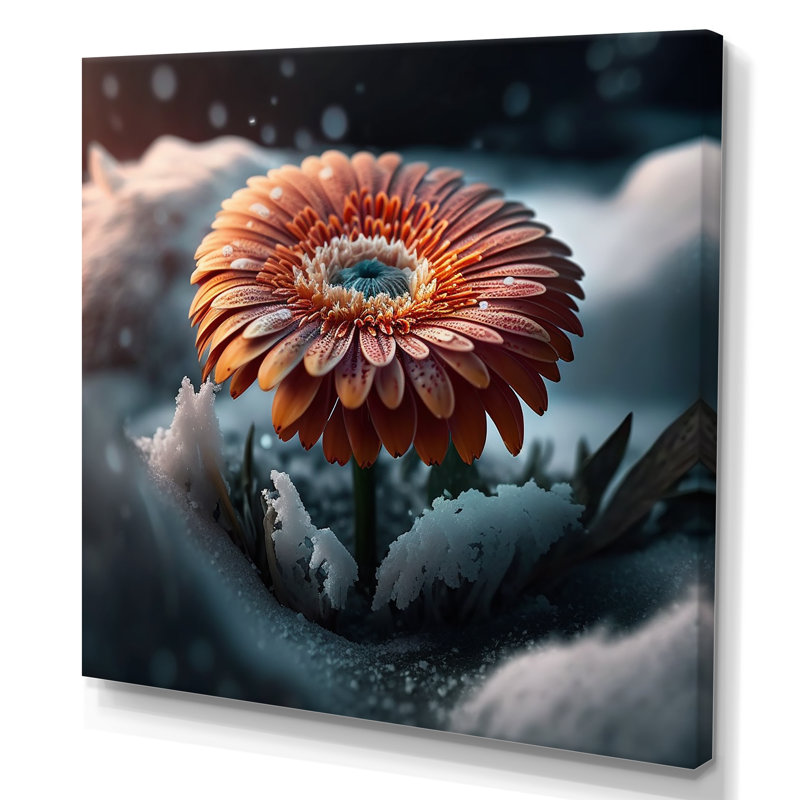 Une fleur de gerbera en fleurs en hiver - impression sur toile, H 16 po x l 16 po x P 1 po, Toile tendue