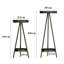 Advaita Plant Stand - Set of 2
