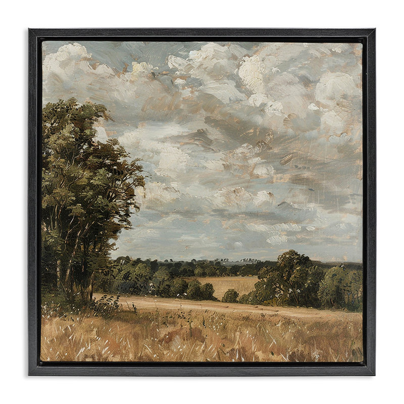 Cadre flottant Clouds Over Country Scenery, design par LSR Creative Studio, Cadre flottant noir de jais, H 18 po x l 18 po