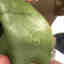Customer photo 4 of 6