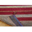 Aalyan Cotton Striped Area Rug in Red-8631239