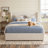 Modern Wingback Upholstered Platform Bed-1529935586-1529576910