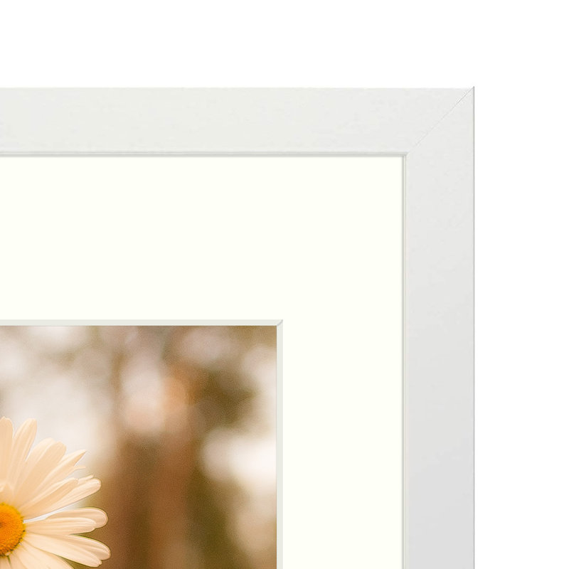 Cadre pour photo simple en bois mat - Basics by Wayfair ™, Blanc, 11 po x 14 po emmêlé à 8 po x 10 po